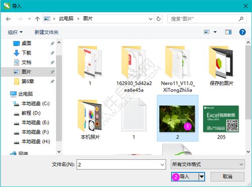 CDR圖文設計與排版技巧 打造專業(yè)視覺作品的實用指南